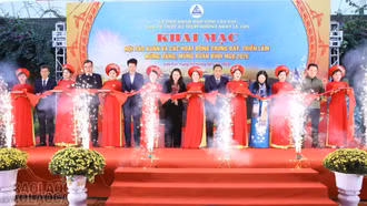 Khai mạc Hội Báo Xuân và các hoạt động trưng bày, triển lãm mừng Đảng, mừng xuân Bính Ngọ 2026
