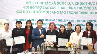 Dự án SPRINT trao các gói hỗ trợ tăng trưởng sạch cho 7 hợp tác xã