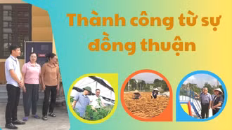 Thành công từ sự đồng thuận