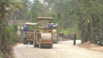 Dự án nâng cấp đường Yên Thế - Vĩnh Kiên phấn đấu “về đích” trước Tết Nguyên đán 2026