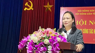 Trên 200 hội viên nông dân tham gia tập huấn nghiệp vụ công tác hội