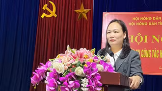 Trên 200 hội viên nông dân tham gia tập huấn nghiệp vụ công tác hội