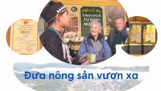 Đưa nông sản vươn xa