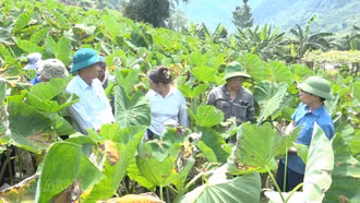 Hướng đi vững chắc trong hành trình giảm nghèo bền vững