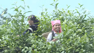 Lào Cai phấn đấu giảm tỷ lệ hộ nghèo đa chiều từ 2,5 - 3%/năm