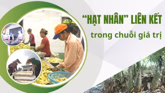 “Hạt nhân” liên kết trong chuỗi giá trị