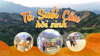 Tả Suối Câu hồi sinh