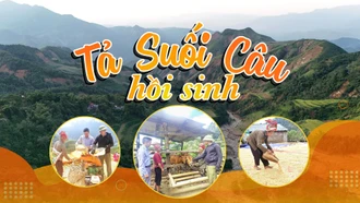 Tả Suối Câu hồi sinh