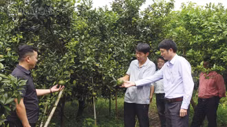 Đại hội sẽ đề ra những quyết sách phát triển kinh tế vùng nông thôn, miền núi