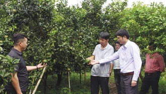 Đại hội sẽ đề ra những quyết sách phát triển kinh tế vùng nông thôn, miền núi