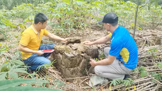 [Ảnh] Về Trịnh Tường tìm dấu xưa nhà cổ