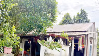 Đền Mẫu Thái Niên được xếp hạng Di tích lịch sử văn hóa cấp tỉnh