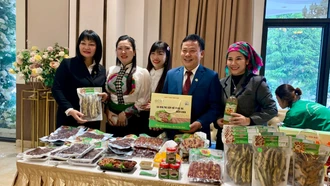 Liên minh Hợp tác xã tỉnh tổng kết công tác thành viên năm 2025