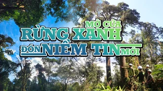 Mở cửa rừng xanh đón niềm tin mới