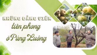 Những đảng viên tiên phong ở Púng Luông