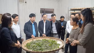 Đồng hành với hội viên nông dân phát triển kinh tế