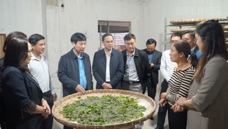 Đồng hành với hội viên nông dân phát triển kinh tế