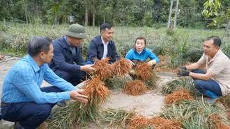 Những đảng viên tiên phong trong phát triển kinh tế ở Hưng Khánh