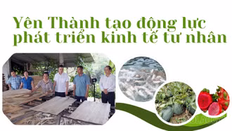 Yên Thành tạo động lực phát triển kinh tế tư nhân