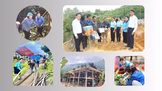 Phụ nữ Lào Cai góp sức vào công trình đường dây 500 kV