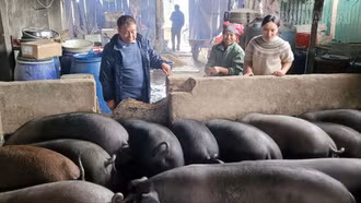 Phát huy hiệu quả mô hình “dân vận khéo” ở Lao Chải