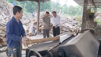 Châu Quế phát triển kinh tế rừng