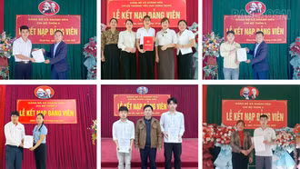 Khánh Hòa “ươm mầm” đảng viên từ phong trào thi đua ở cơ sở