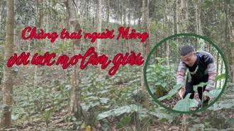 Chàng trai người Mông với ước mơ làm giàu