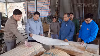 Đảng viên tiên phong dẫn đường làm kinh tế ở Phúc Lợi