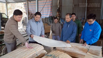 Đảng viên tiên phong dẫn đường làm kinh tế ở Phúc Lợi