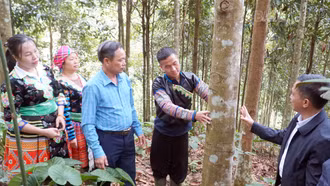 Hưng Khánh: Tạo nền tảng cho nông nghiệp phát triển bền vững