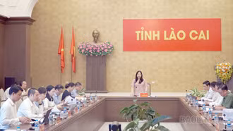 Đồng chí Vũ Thị Hiền Hạnh - Phó Chủ tịch UBND tỉnh chủ trì cuộc họp.