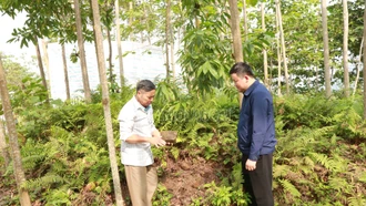 Dấu tích người Việt cổ bên suối Ngòi Nhù