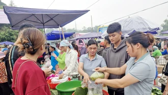 Vui Ngày hội Hương cốm Hợp Thành