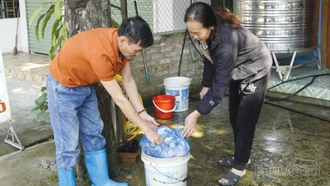 Tổ tự quản về thu gom và xử lý rác thải sinh hoạt ở Liên Sơn