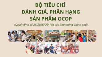 Bộ tiêu chí đánh giá, phân hạng sản phẩm OCOP 