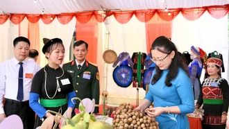 Đồng chí Giàng Thị Dung - Phó Bí thư Tỉnh ủy, Chủ tịch Ủy ban MTTQ Việt Nam tỉnh Lào Cai tham quan các sản phẩm OCOP trên địa bàn xã Châu Quế