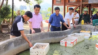 Lào Cai tăng cường giải pháp giảm nghèo đa chiều