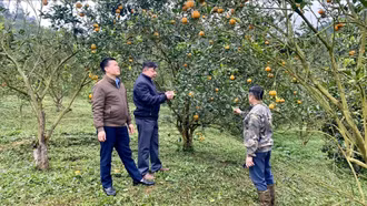 Chấn Thịnh kiến tạo vùng nông nghiệp hàng hóa