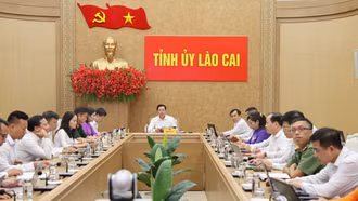 Lào Cai tham dự Hội nghị toàn quốc triển khai nhiệm vụ công tác tổ chức xây dựng Đảng 6 tháng cuối năm 2026