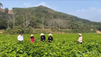 Từ “đạt chuẩn” đến “đáng sống”: Hành trình nâng tầm nông thôn mới