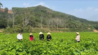 Từ “đạt chuẩn” đến “đáng sống”: Hành trình nâng tầm nông thôn mới