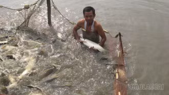 Gắn phát triển kinh tế với bảo vệ môi trường