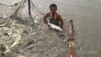 Gắn phát triển kinh tế với bảo vệ môi trường