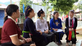 Hiểu luật để phát triển