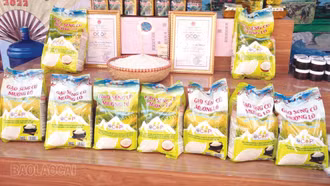 Phường Trung Tâm chú trọng phát triển các sản phẩm OCOP