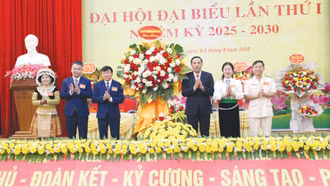 Khẩn trương cụ thể hóa nghị quyết thành chương trình hành động sát với thực tiễn 