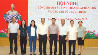 Hội nghị công bố quyết định thành lập Đảng bộ HĐND tỉnh và các chi bộ trực thuộc