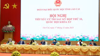 Hội nghị