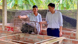 Nghĩa Tâm vững bước trên hành trình xây dựng nông thôn mới